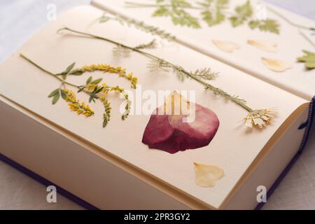 Buch mit getrockneten Blumen und Blättern auf weißem Stoff, Nahaufnahme Stockfoto