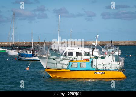 Boote im Hafen, Oamaru, Nord-Otago, Südinsel, Neuseeland Stockfoto