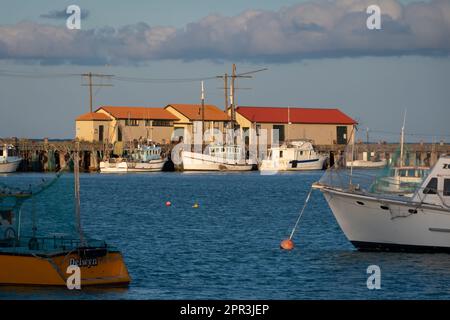 Fischerboote liegen an Holmes Wharf, Oamaru Hafen, Nord-Otago, Südinsel, Neuseeland Stockfoto