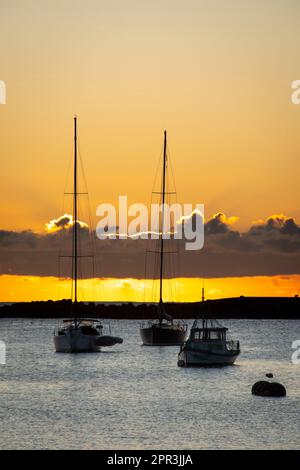 Boote im Hafen, Oamaru, Nord-Otago, Südinsel, Neuseeland Stockfoto