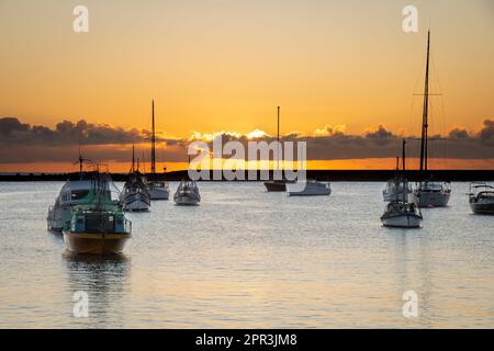 Boote im Hafen, Oamaru, Nord-Otago, Südinsel, Neuseeland Stockfoto