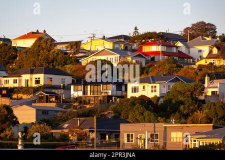 Häuser auf einem Hügel, Oamaru, North Otago, South Island, Neuseeland Stockfoto