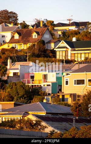 Häuser auf einem Hügel, Oamaru, North Otago, South Island, Neuseeland Stockfoto