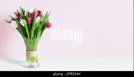 Farbenfrohe Frühlingstulpen in einer Vase auf einem weißen Tisch. Modell zur Ausstellung von Werken. Vase mit Tulpen auf pinkfarbenem Hintergrund, Platz für Ihren Text. Stockfoto