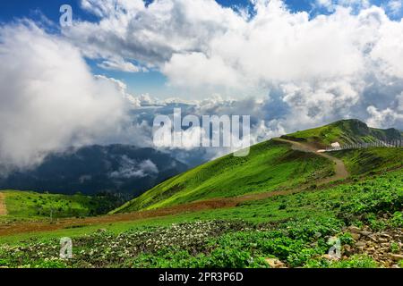 Atemberaubende Berglandschaft an einem sonnigen Sommertag mit bewölktem Himmel. Berge mit grünem Gras bedeckt mit Schnee vor einem bewölkten Himmel. Stockfoto