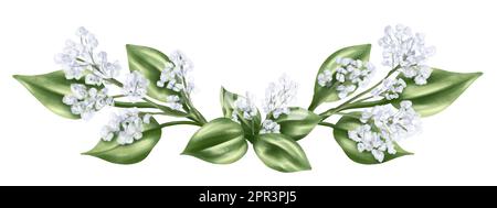Elegante horizontale Zusammensetzung von grünen Blättern und getrockneten dekorativen Blumen und Zigeunern im Aquarellstil. Digitale Illustration auf einem weißen Backgr Stockfoto