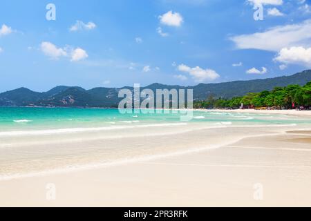 Blick auf den wunderschönen weißen Sandstrand mit türkisfarbenem Wasser des Chaweng-Strandes in Koh Samui (Insel Samui), Thailand. Fantastischer Strandurlaub und summ Stockfoto