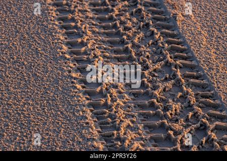 4x4-Autoreifenspuren in Sand bei Sonnenaufgang auf Moreton Island, Queensland, Australien Stockfoto