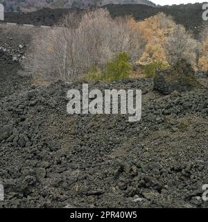 Gekühlter Lavafluss am südlichen Hang des Ätna, Italiens, Siziliens, Vilino Platania Stockfoto