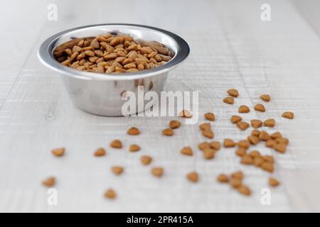 Trockenes Tierfutter in silberner Fütterschüssel auf Holzboden Stockfoto