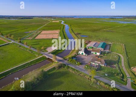 Feldlandschaft mit Fluss Hunte, Duemmersee im Hintergrund, Luftaufnahme, Deutschland, Niedersachsen, Duemmer See Stockfoto