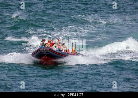 Touristen in einem Motorboot an der Küste nahe Algar Seco, Portugal, Algarve Stockfoto