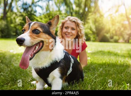 Mit Ihrem Hund zählt jeder Moment. Eine junge Frau, die sich mit ihrem Hund im Park anfreundet. Stockfoto