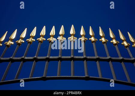 Schmiedeeiserner Zaun von unten nach oben fotografiert mit goldenen Speerspitzen unter blauem Himmel. Stockfoto