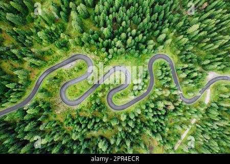 Autos auf der Einfahrt der berühmten Snake Road, umgeben von Wäldern und Wiesen. Serpentine Snake Road über den Giau Pass, umgeben von Bergketten im Sommerwald Stockfoto