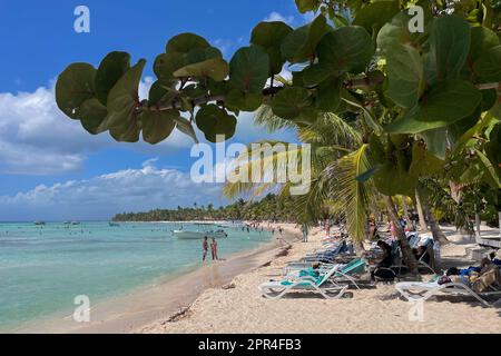 Cotubanama-Nationalpark, Isla Saona, Dominikanische Republik Stockfoto