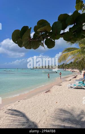 Cotubanama-Nationalpark, Isla Saona, Dominikanische Republik Stockfoto