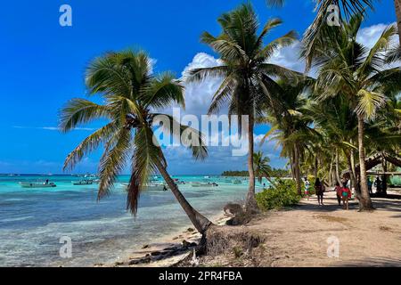 Cotubanama-Nationalpark, Isla Saona, Dominikanische Republik Stockfoto
