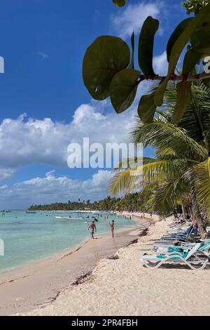 Cotubanama-Nationalpark, Isla Saona, Dominikanische Republik Stockfoto