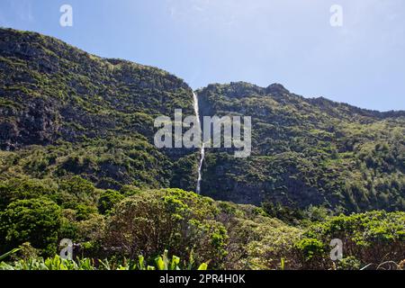 Einer der vielen Wasserfälle in der Nähe der Stadt Fajã Grande, Flores, Azoren, Portugal Stockfoto