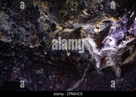 Lavastalaktiten an der Decke von Gruta das Torres Lavaröhren auf der Insel Pico, Azoren, Portugal Stockfoto