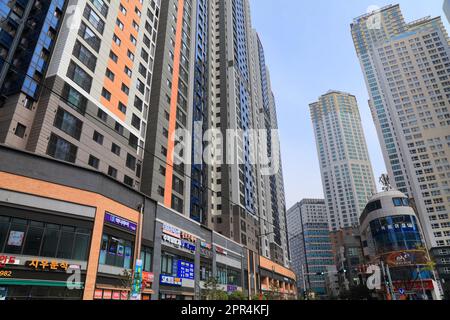 BUSAN, SÜDKOREA - 30. MÄRZ 2023: Wohnarchitektur mit hoher Dichte im Dongnae-gu-Bezirk in Busan. Stockfoto