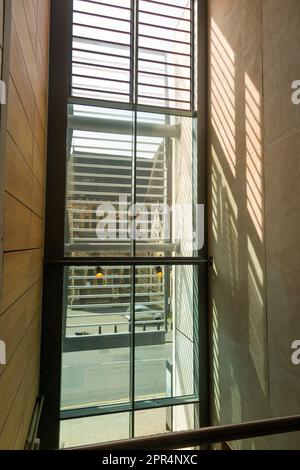 Hohe Fenster, architektonische Elemente, die Licht in den Innenraum der Wilson Art Gallery and Museum, Cheltenham, bringen. UK. Benannt nach dem Entdecker des antarktischen Künstlers Edward Adrian Wilson. (134) Stockfoto