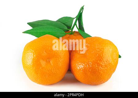 Mandarinenfrucht mit grünen Blättern, isoliert auf weißem Hintergrund, hochwertige Details Stockfoto