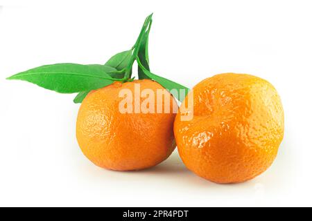 Mandarinenfrucht mit grünen Blättern, isoliert auf weißem Hintergrund, hochwertige Details Stockfoto