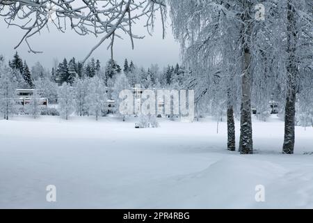 Morgenpromenade in der Umgebung, neu gefallener Schnee, Straßen und schneebedeckte Umgebung. Bedeckt, Tagesanbruch im Dezember – Januar. Stockfoto