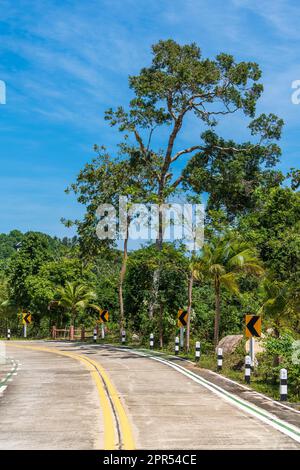 Leere Betonstraße mit Wende und Wegweisern durch den Regenwald an sonnigen Sommertagen auf der tropischen Insel Thailand. Die Straße führt durch den Dschungel Stockfoto