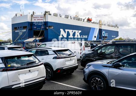 Bremerhaven, Deutschland. 26. April 2023. Die Autos werden vor dem Autoträger „Emerald Leader“ auf dem Gelände des BLG Autoterminals Bremerhaven geparkt. Der Seehafen- und Logistikdienstleister BLG mit Sitz in Bremen hat im vergangenen Jahr trotz zahlreicher Krisen seine Umsätze und Gewinne gesteigert. Kredit: Sina Schuldt/dpa/Alamy Live News Stockfoto