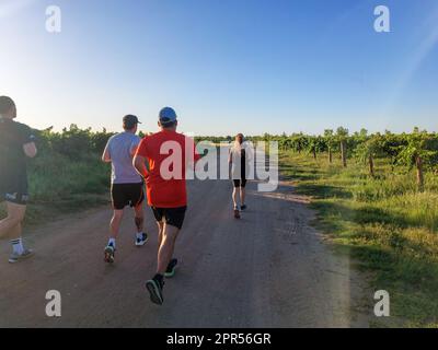 Upington, Südafrika – 24. Februar 2023: Läufer auf einem Parkrun zwischen Weinbergen in Upington in der Provinz Nordkap Stockfoto