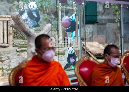 Chiang Mai, Thailand. 26. April 2023. Thailändische buddhistische Mönche beten anlässlich des 7. Todestages von Lin Hui, der weiblichen Riesenpanda, die im Alter von 21 Jahren und 7months Jahren im Zoo von Chiang Mai verstarb. "Lin Hui" ist die weibliche Panda, die eine thailändisch-chinesische Botschafterin des guten Willens ist, die China vor 20 Jahren zusammen mit den männlichen Pandas "Chuang Chuang" im Rahmen von Projekten der Forschungszusammenarbeit und der Erhaltung von Pandas nach Thailand entsandt hat. (Kreditbild: © Pongmanat Tasiri/SOPA Images via ZUMA Press Wire) NUR REDAKTIONELLE VERWENDUNG! Nicht für den kommerziellen GEBRAUCH! Stockfoto