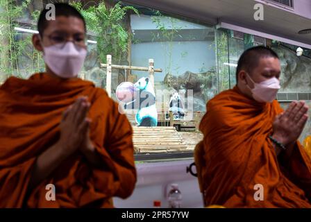 Chiang Mai, Thailand. 26. April 2023. Thailändische buddhistische Mönche beten anlässlich des 7. Todestages von Lin Hui, der weiblichen Riesenpanda, die im Alter von 21 Jahren und 7months Jahren im Zoo von Chiang Mai verstarb. "Lin Hui" ist die weibliche Panda, die eine thailändisch-chinesische Botschafterin des guten Willens ist, die China vor 20 Jahren zusammen mit den männlichen Pandas "Chuang Chuang" im Rahmen von Projekten der Forschungszusammenarbeit und der Erhaltung von Pandas nach Thailand entsandt hat. (Kreditbild: © Pongmanat Tasiri/SOPA Images via ZUMA Press Wire) NUR REDAKTIONELLE VERWENDUNG! Nicht für den kommerziellen GEBRAUCH! Stockfoto