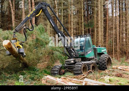 Holzerntemaschinen zum Fällen und Verarbeiten von sitka-Fichten in einer kommerziellen Forstplantage, Inverness-shire, Schottland, August 2007 Stockfoto