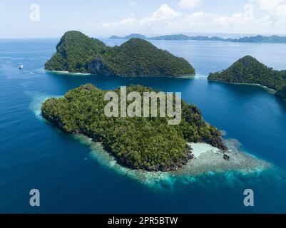 Wunderschöne und vielfältige Korallenriffe umgeben die dramatischen Kalksteininseln, die sich aus Raja Ampats vielfältiger Meereslandschaft erheben. Stockfoto