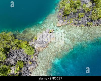 Wunderschöne und vielfältige Korallenriffe umgeben die dramatischen Kalksteininseln, die sich aus Raja Ampats vielfältiger Meereslandschaft erheben. Stockfoto