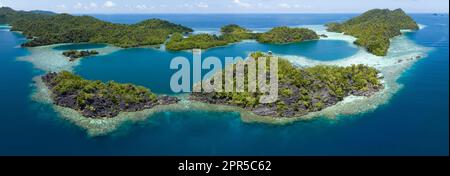 Wunderschöne und vielfältige Korallenriffe umgeben die dramatischen Kalksteininseln, die sich aus Raja Ampats vielfältiger Meereslandschaft erheben. Stockfoto