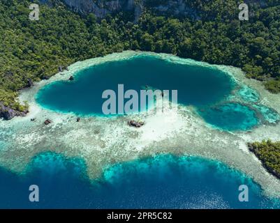 Wunderschöne und vielfältige Korallenriffe umgeben die dramatischen Kalksteininseln, die sich aus Raja Ampats vielfältiger Meereslandschaft erheben. Stockfoto