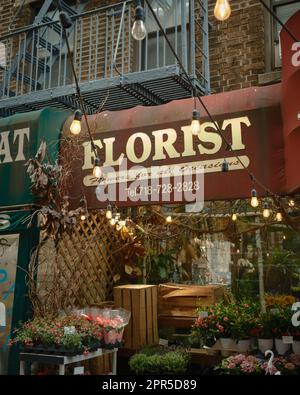 Blumenschild in Astoria, Queens, New York Stockfoto