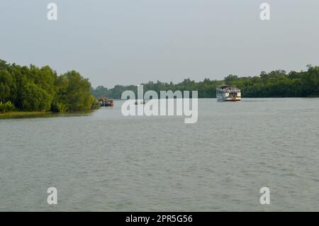 Natürliche Schönheit von Sundarbon, wunderschönes Sonnenbad Stockfoto