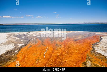 Farbenfroher Abfluss von einer Thermalquelle in den Yellowstone Lake im Yellowstone National Park Stockfoto