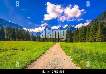 Wanderweg im slowakischen Gebirge in Sommerlandschaft. Bergpfad durch das Weiße Wasser-Tal (Bielovodska Dolina) in der Hohen Tatra, Slowakei. Stockfoto