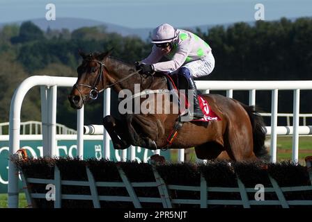 Der gälische Krieger, der von Paul Townend geritten wurde, gewann am zweiten Tag des Punchestown Festivals auf der Punchestown Racecourse in County Kildare, Irland, die Irish Mirror Novice Hürde. Bilddatum: Mittwoch, 26. April 2023. Stockfoto