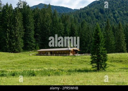 Umgebung Schwarzentennalm in den Ausläufern der Alpen Stockfoto