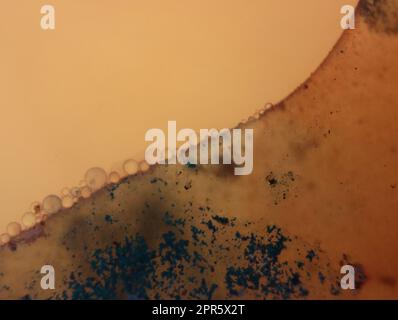 Abstrakt Hintergrund Fantasie Illusion Seltenheit Phantasie Virus Bakterien Gefühl Stockfoto