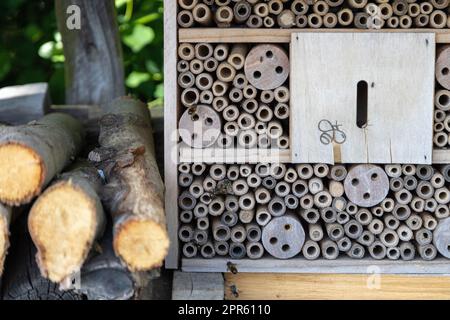 Ein Insektenhotel für Bienen, Wespen und andere Insekten aus Holz. Stockfoto