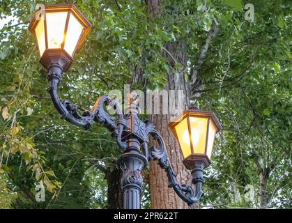 Im Frühling befinden sich im Park zwei wunderschöne Straßenlaternen auf einem schmiedeeisernen Retromast vor dem Hintergrund grüner Bäume, draußen am Abend Stockfoto