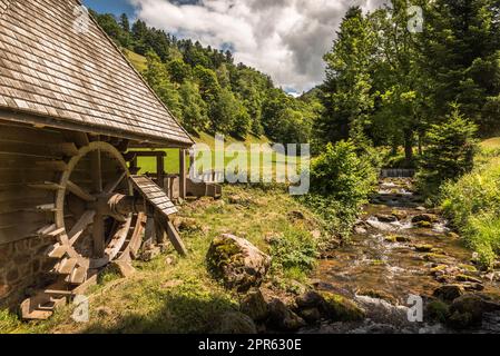 Alte Wassermühle im Schwarzwald, Glottertal, Baden-Württemberg, Deutschland Stockfoto